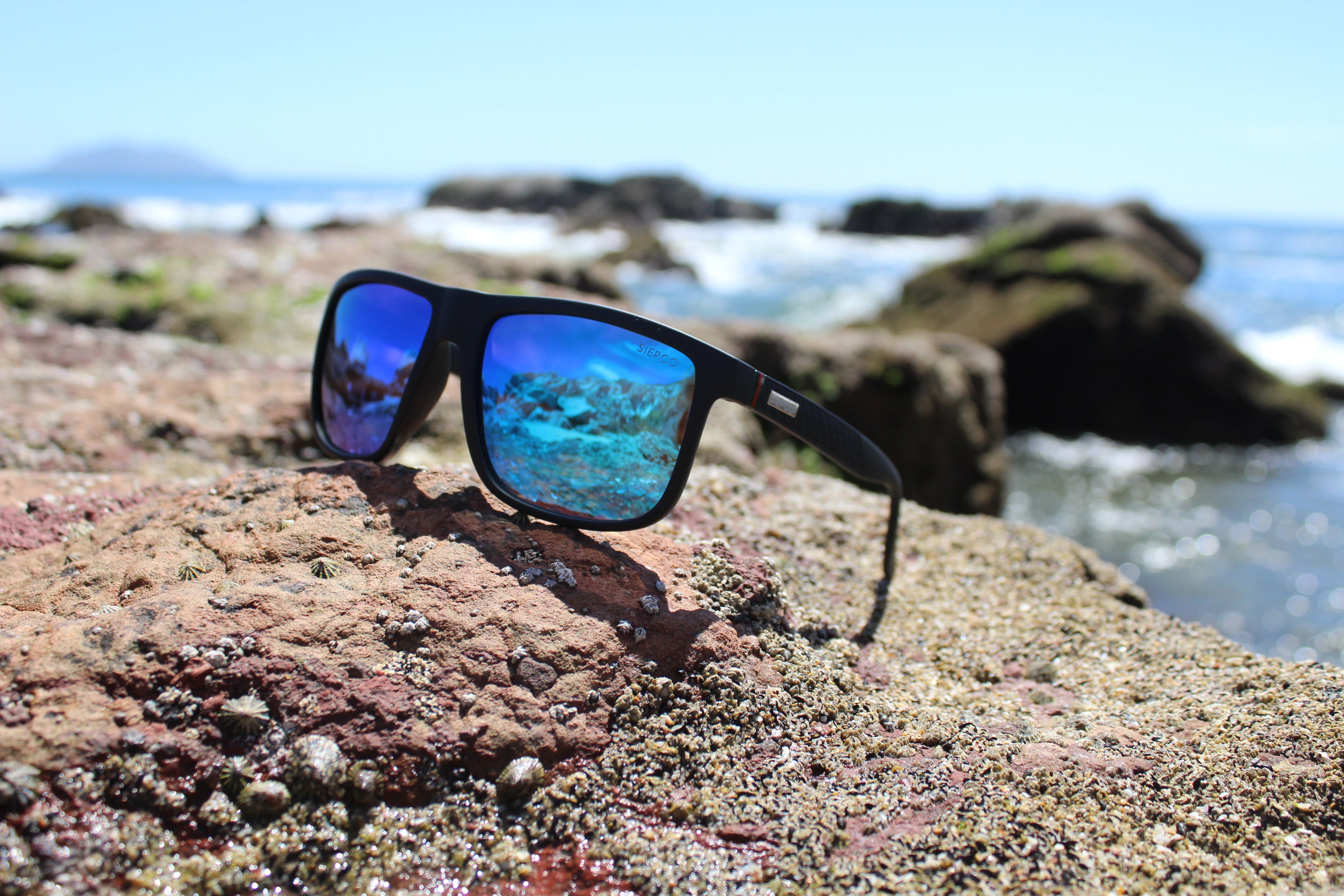 Affordable Good Quality Polarized Sunglasses Canada SIEPCO